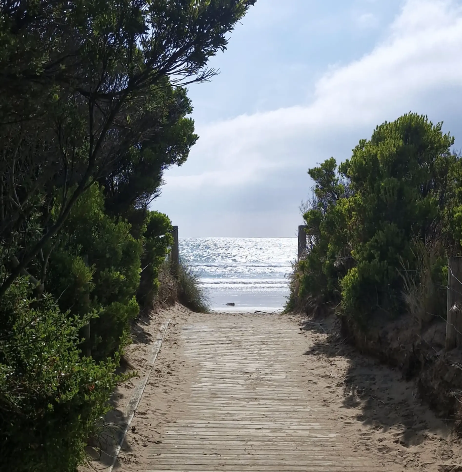 Discovery Bay Coastal Park Nelson