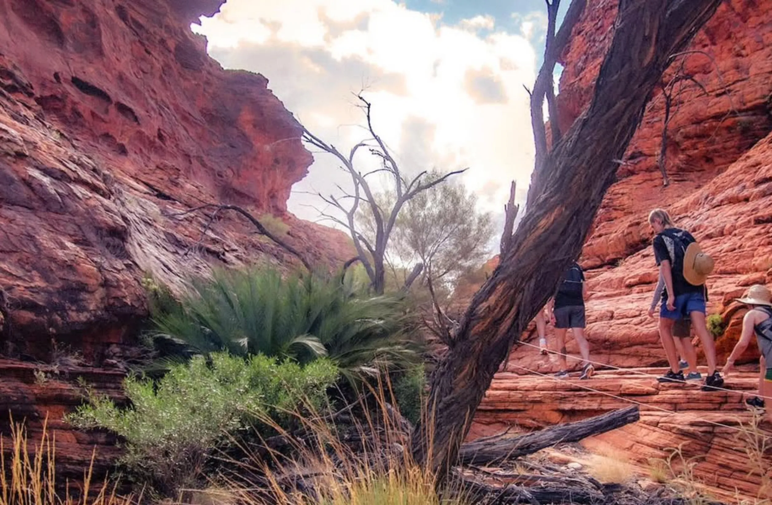 harmony with nature, Pinnacles